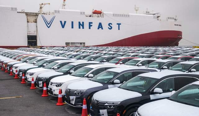 Chủ tịch Vingroup chưa có kế hoạch rót thêm vốn vào VinFast - Ảnh 1.