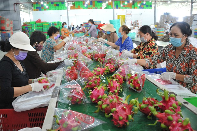 Nhà yến vướng quy hoạch, thanh long sang Nhật phải có bản quyền - Ảnh 3.