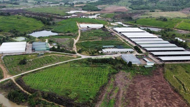 Teo tóp “đại dự án” chăn nuôi ở Đắk Lắk - Ảnh 1.
