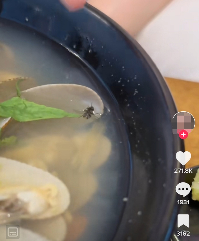 Hình ảnh con ruồi trong thức ăn được nữ tiktoker ghi lại