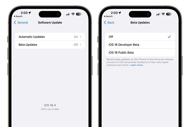 Apple ngăn sử dụng iOS beta cho nhà phát triển nếu không trả phí - Ảnh 2.