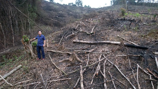 7 ha rừng tự nhiên bị đốt, phá ở giáp ranh 2 huyện miền núi Quảng Bình - Ảnh 4.