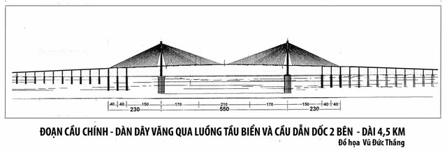 Cầu vượt biển Cần Giờ - Quy mô bao nhiêu là đủ? - Ảnh 2.