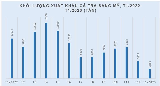 Giảm 81% Mỹ xếp sau Trung Quốc và EU về nhập khẩu cá tra Việt Nam - Ảnh 1.