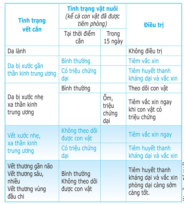 Cần làm gì ngay sau khi bị chó cắn? - Ảnh 2.