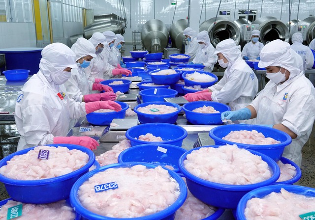 Giảm 81% Mỹ xếp sau Trung Quốc và EU về nhập khẩu cá tra Việt Nam - Ảnh 2.