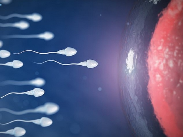 Một người đàn ông đã dùng 4 tên giả khác nhau để hiến tinh trùng cho các cặp đôi LGBTQ+ và sinh ra hơn 60 đứa trẻ