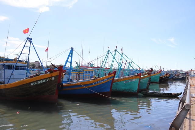 Trưởng ban Tuyên giáo TƯ làm việc tại Bình Thuận: &quot;Không được để xảy ra điểm nóng&quot; - Ảnh 5.