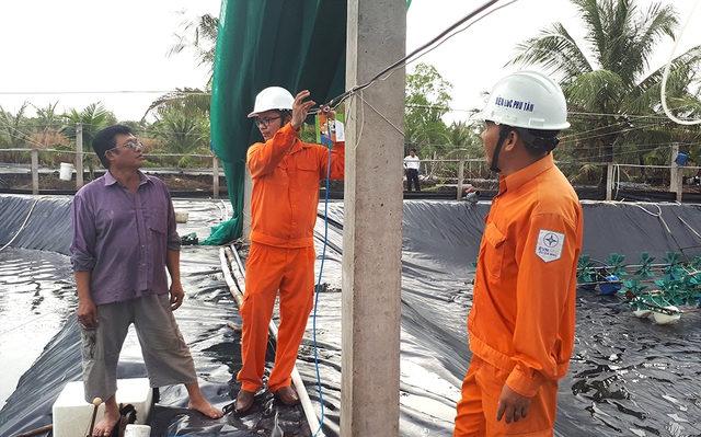 Công nhân ngành điện hướng dẫn người nuôi tôm công nghiệp ở Cà Mau các biện phòng tránh tai nạn điện