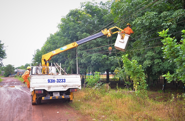 Công nhân điện kiểm tra, phát quang cây xanh khu vực dân cư để phòng ngừa sự cố về điện do vi phạm hành lang an toàn lưới điện cao áp tại Bình Phước