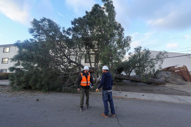 Gần 85.000 hộ ở vùng  Los Angeles mất điện vì bão ập đến California - Ảnh 1.