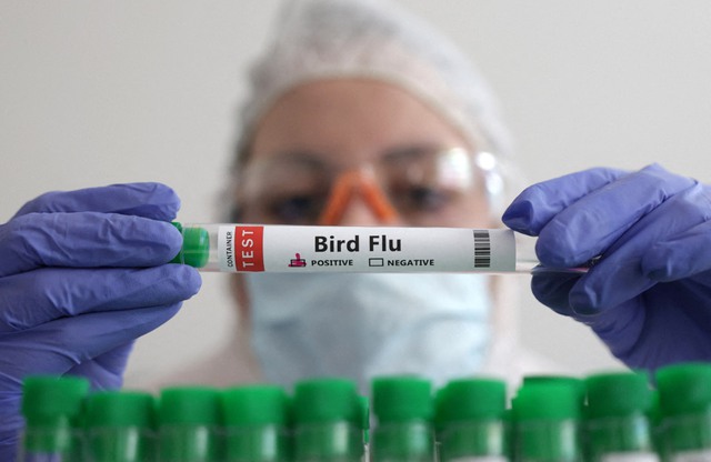 Chuyên gia WHO kêu gọi các nước cảnh giác với cúm A (H5N1) - Ảnh 1.