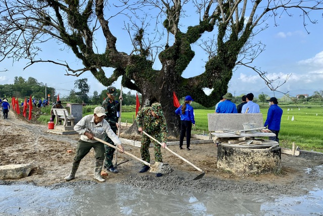 Tuổi trẻ Quảng Ngãi tham gia tu sửa, tôn tạo di tích lịch sử cây gạo - Ảnh 2.