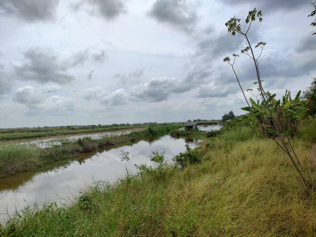 10 km đê biển Tây chờ đấu thầu quốc tế người dân sống ven đê lo âu - Ảnh 2. 10 km đê biển Tây chờ đấu thầu quốc tế người dân sống ven đê lo âu - Ảnh 2.