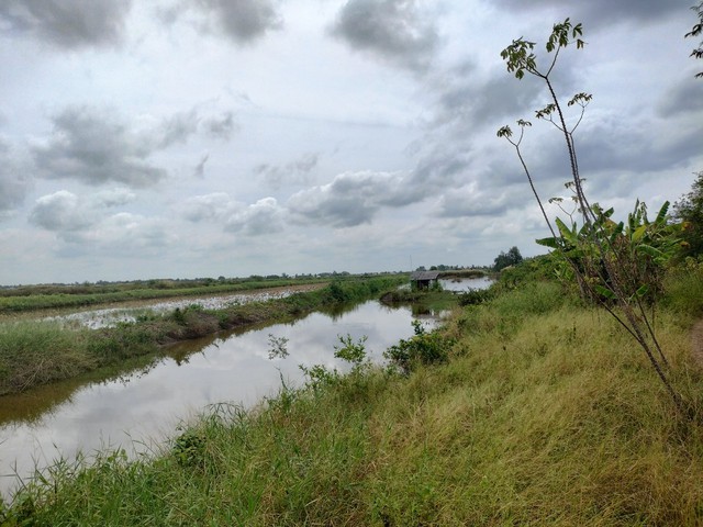 10 km đê biển Tây chờ đấu thầu quốc tế người dân sống ven đê lo âu - Ảnh 2.