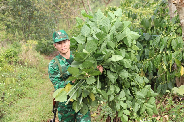 Người dân yên tâm làm rẫy khi Bộ đội liên tục tuần tra, kiểm soát biên giới - Ảnh 8.