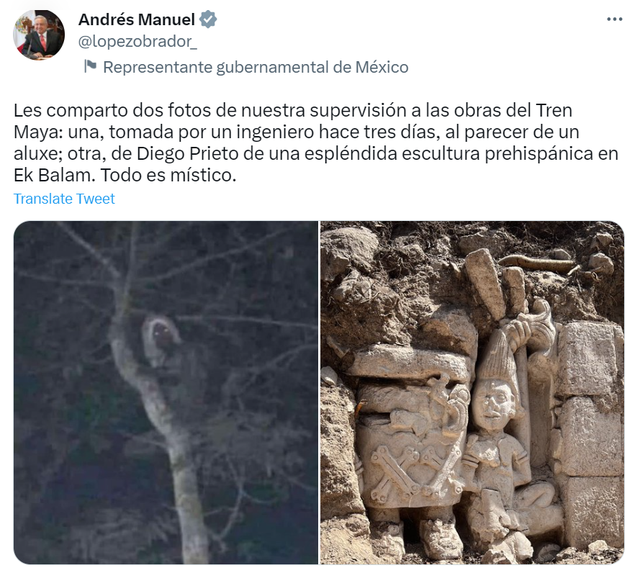 Tổng thống Mexico đăng ảnh ‘thần rừng’ - Ảnh 1.