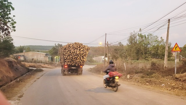 Từ đơn thư bạn đọc: Xe quá khổ, quá tải hoành hành trên đường quê - Ảnh 1.