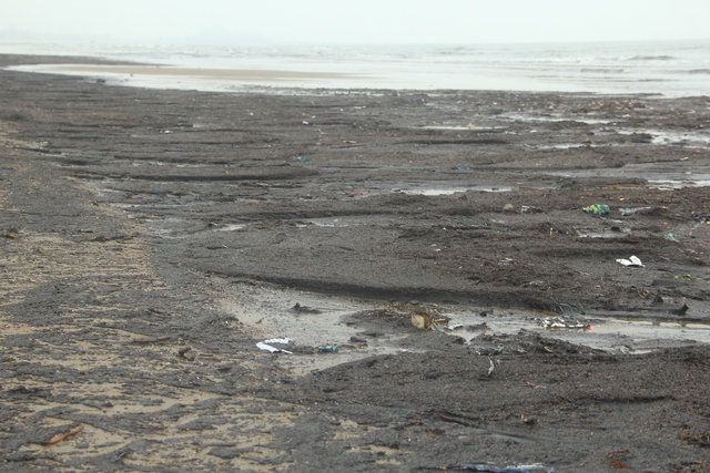 Bãi biển Cửa Lò bị nhuộm đen bởi mùn biển - Ảnh 2.