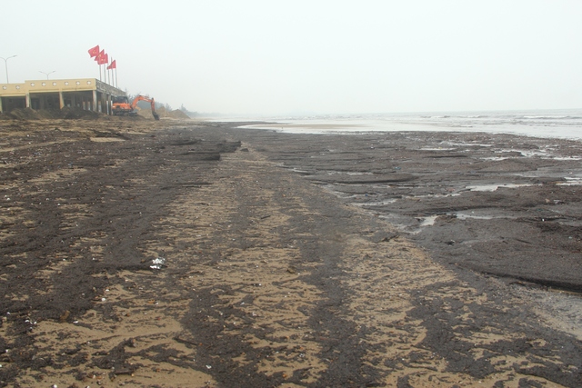 Bãi biển Cửa Lò bị nhuộm đen bởi mùn biển - Ảnh 1.