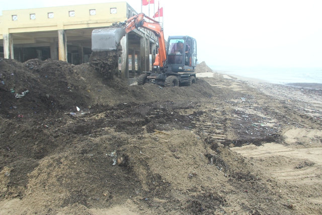Bãi biển Cửa Lò bị nhuộm đen bởi mùn biển - Ảnh 3.