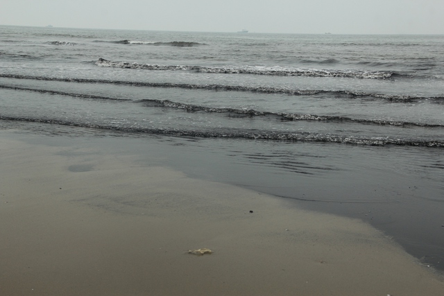 Bãi biển Cửa Lò bị nhuộm đen bởi mùn biển - Ảnh 4.