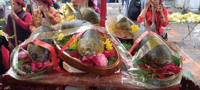 Độc đáo món cỗ cá và cặp bánh nặng 400 kg kỷ lục Guinness Việt Nam  tại lễ hội đền Trần - Ảnh 2.