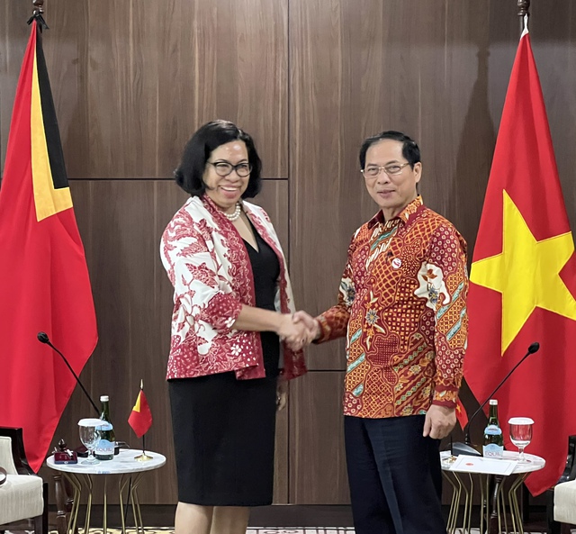 Việt Nam sẽ hỗ trợ Timor Leste sớm gia nhập ASEAN - Ảnh 1.