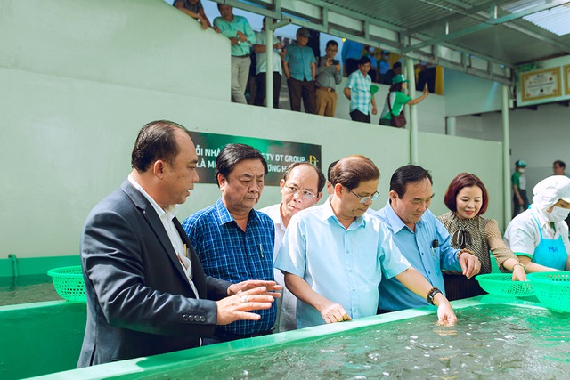 Đoàn công tác của Bộ NN-PTNT đến thăm nhà máy sản xuất rong biển của DT Group