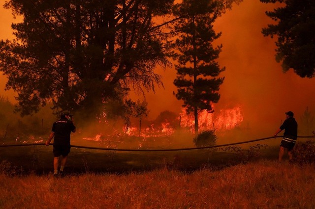 Cháy rừng dữ dội ở Chile, 23 người chết - Ảnh 1.