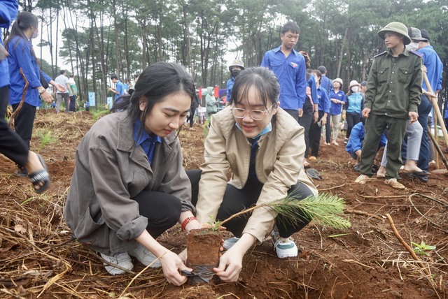 Đắk Nông: Nỗ lực chăm sóc, bảo vệ gần 107 ha rừng thông dọc Quốc lộ 28 - Ảnh 1.