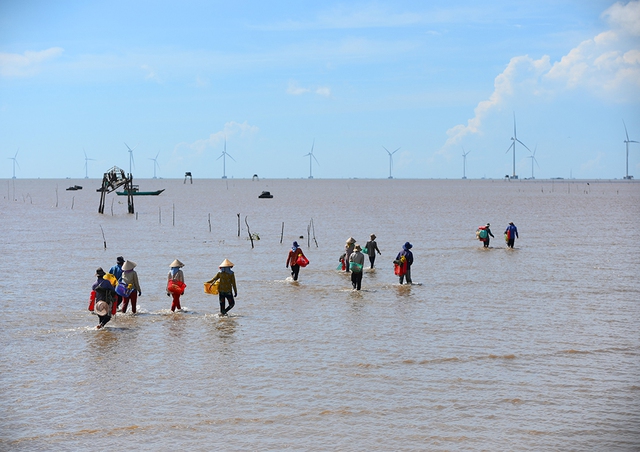 Sông nước bao la đã sinh ra nhiều loại hình đánh bắt thủy hải sản nuôi sống nhiều gia đình trong khu vực