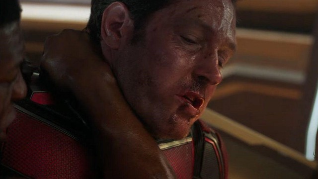 Người kiến Scott Lang sẽ hy sinh trong ‘Ant-Man 3’?  - Ảnh 4.