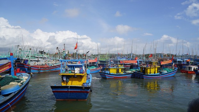 Tàu Cá, Ngư Dân, Hoài Nhơn, Bình Định