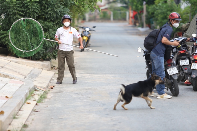 Người dân TP.HCM nuôi chó thả rông, không rọ mõm: Lãnh đạo phường nói gì? - Ảnh 3.