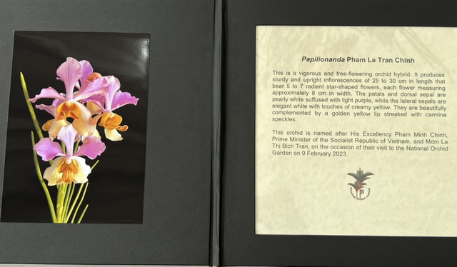 Loài hoa lan Singapore đặc biệt mang tên Thủ tướng Phạm Minh Chính và phu nhân - Ảnh 5.