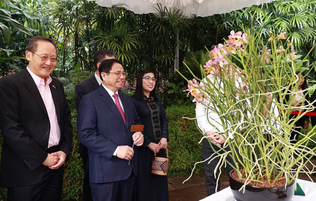 Loài hoa lan Singapore đặc biệt mang tên Thủ tướng Phạm Minh Chính và phu nhân - Ảnh 2.