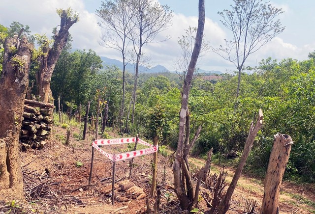 Quảng Trị: Phát hiện hàng chục vật liệu nổ ở nơi người dân sản xuất nông nghiệp - Ảnh 2.