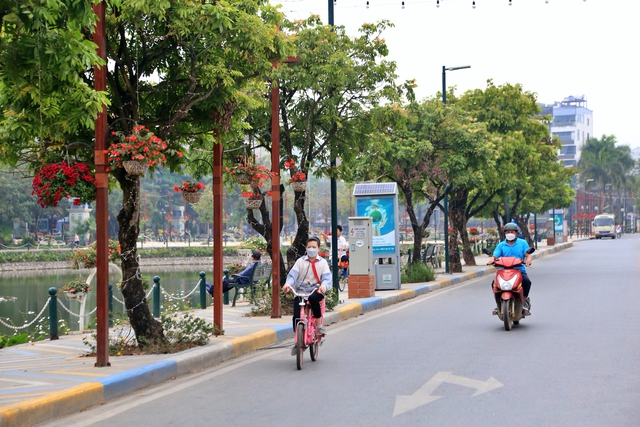 Cận cảnh hàng cây được đề xuất đánh chuyển ở không gian đi bộ Trịnh Công Sơn - Ảnh 6.