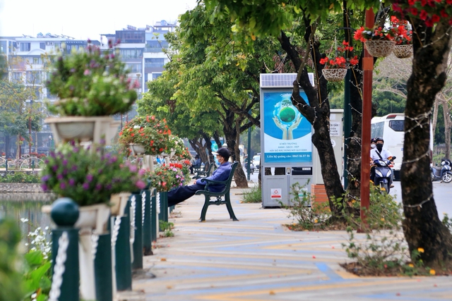 Cận cảnh hàng cây được đề xuất đánh chuyển ở không gian đi bộ Trịnh Công Sơn - Ảnh 7.