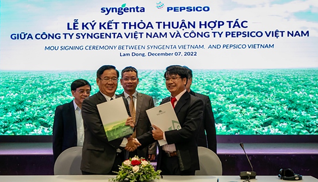 Trồng khoai tây bền vững với PepsiCo, Syngenta, nông dân thu lãi cả trăm triệu đồng - Ảnh 1.