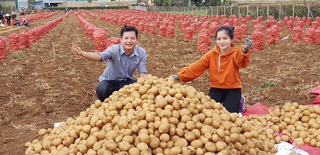 Trồng khoai tây bền vững với PepsiCo, Syngenta, nông dân thu lãi cả trăm triệu đồng - Ảnh 3.