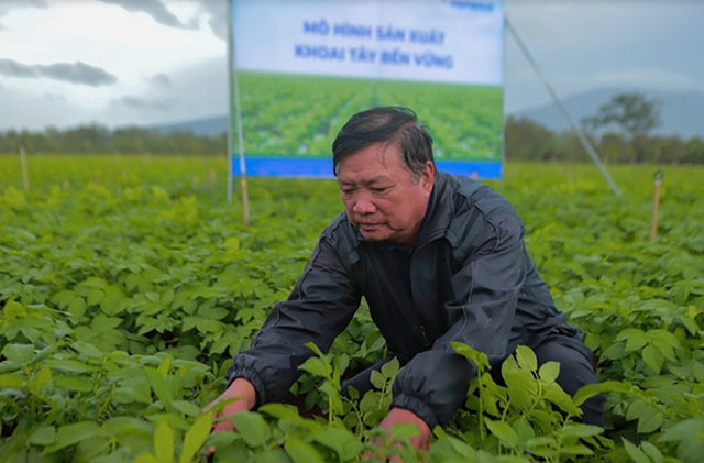 Trồng khoai tây bền vững với PepsiCo, Syngenta, nông dân thu lãi cả trăm triệu đồng - Ảnh 4.