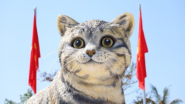 Mèo Đại Cát đến từ Techcombank nằm trong top những chú mèo được ái mộ năm 2023 - Ảnh 1.