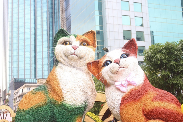 Mèo Đại Cát đến từ Techcombank nằm trong top những chú mèo được ái mộ năm 2023 - Ảnh 2.