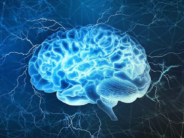 Các nhà nghiên cứu sẽ tạo ra trí tuệ nhân tạo từ chất liệu là tế bào não người thay vì chip silicon máy tính như hiện nay