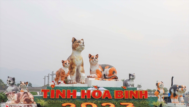 Gia đình mèo tại quảng trường tỉnh Hòa Bình