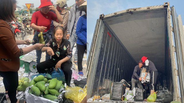 Tài xế container xúc động vì người dân mua giúp gần 20 tấn xoài sau tai nạn - Ảnh 1.