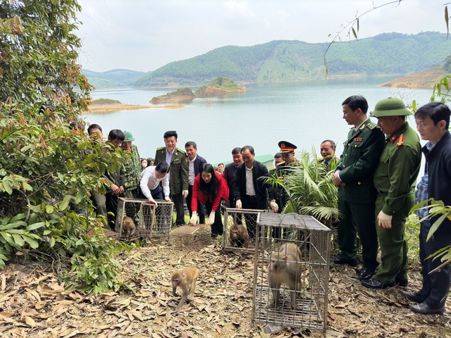 Hà Tĩnh: Tái thả 43 cá thể động vật hoang dã quý hiếm về rừng tự nhiên - Ảnh 1.