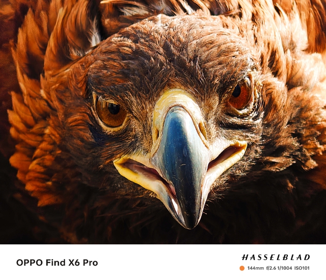 Hé lộ những bức ảnh chụp đầu tiên bởi Oppo Find X6 Pro - Ảnh 2.